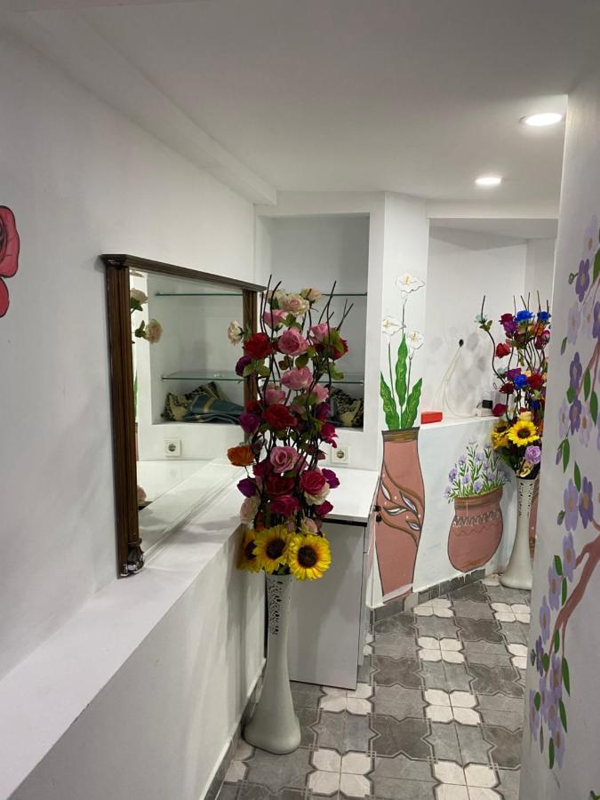 Sultanahmet Family Hotel Provincia di Provincia di Istanbul Esterno foto